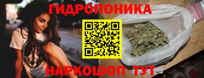 хмурый Гатчина