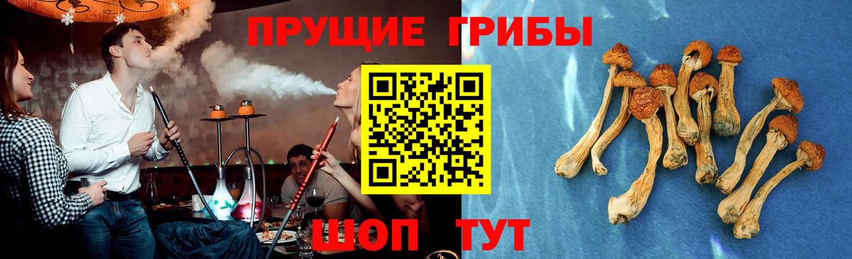 Галлюциногенные грибы Magic Shrooms  Псилоцибиновые грибы Psilocybe  Партизанск  Вход с VPN 